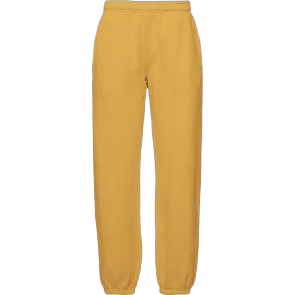 Pantaloni fitness da ginnastica Colorful Standard Organic 2.0