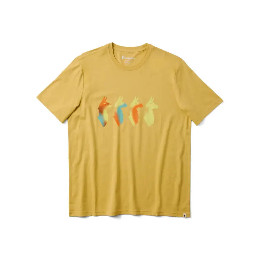 T-shirt Cotopaxi Cuatro Bitmap