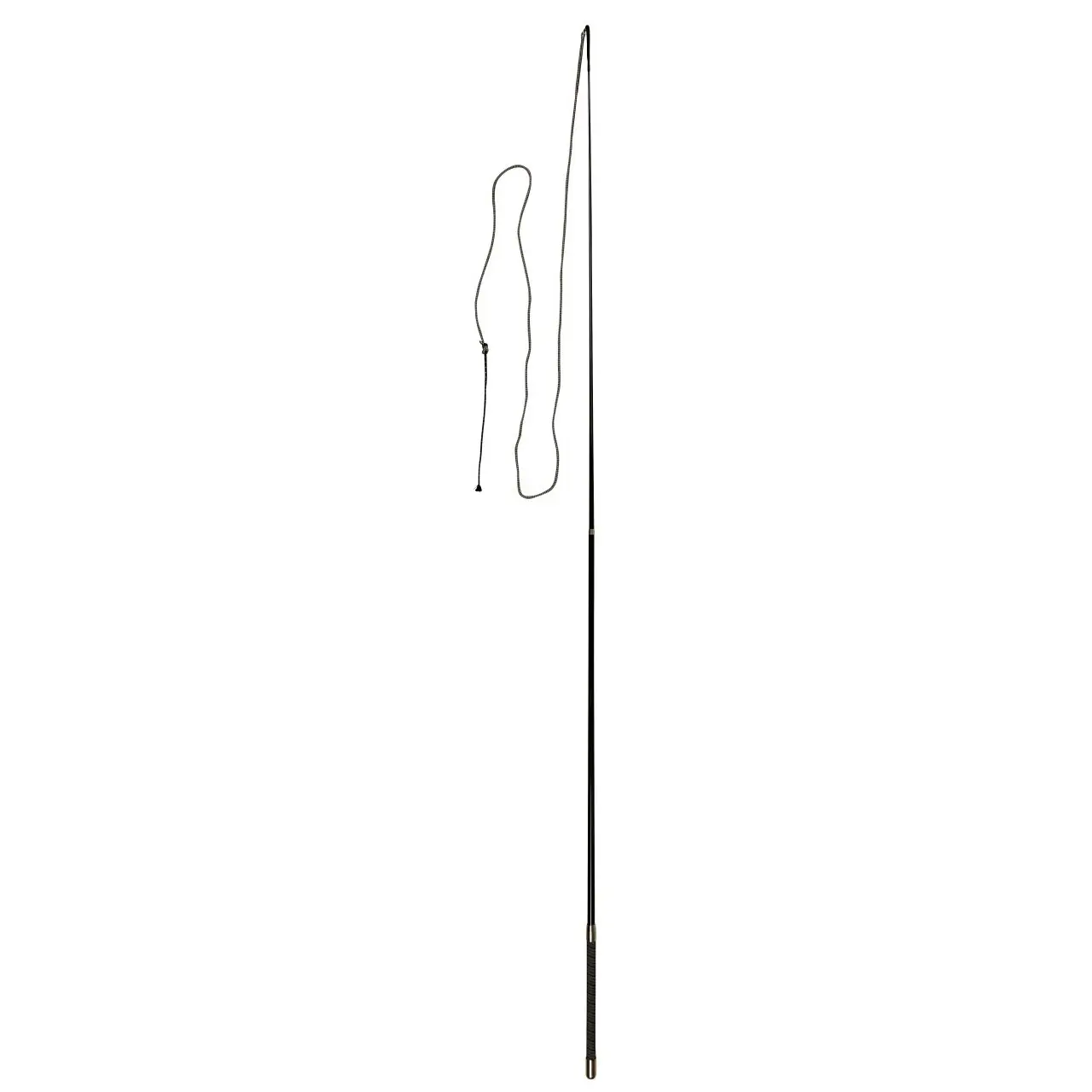 Telescopic lunge whip Covalliero
