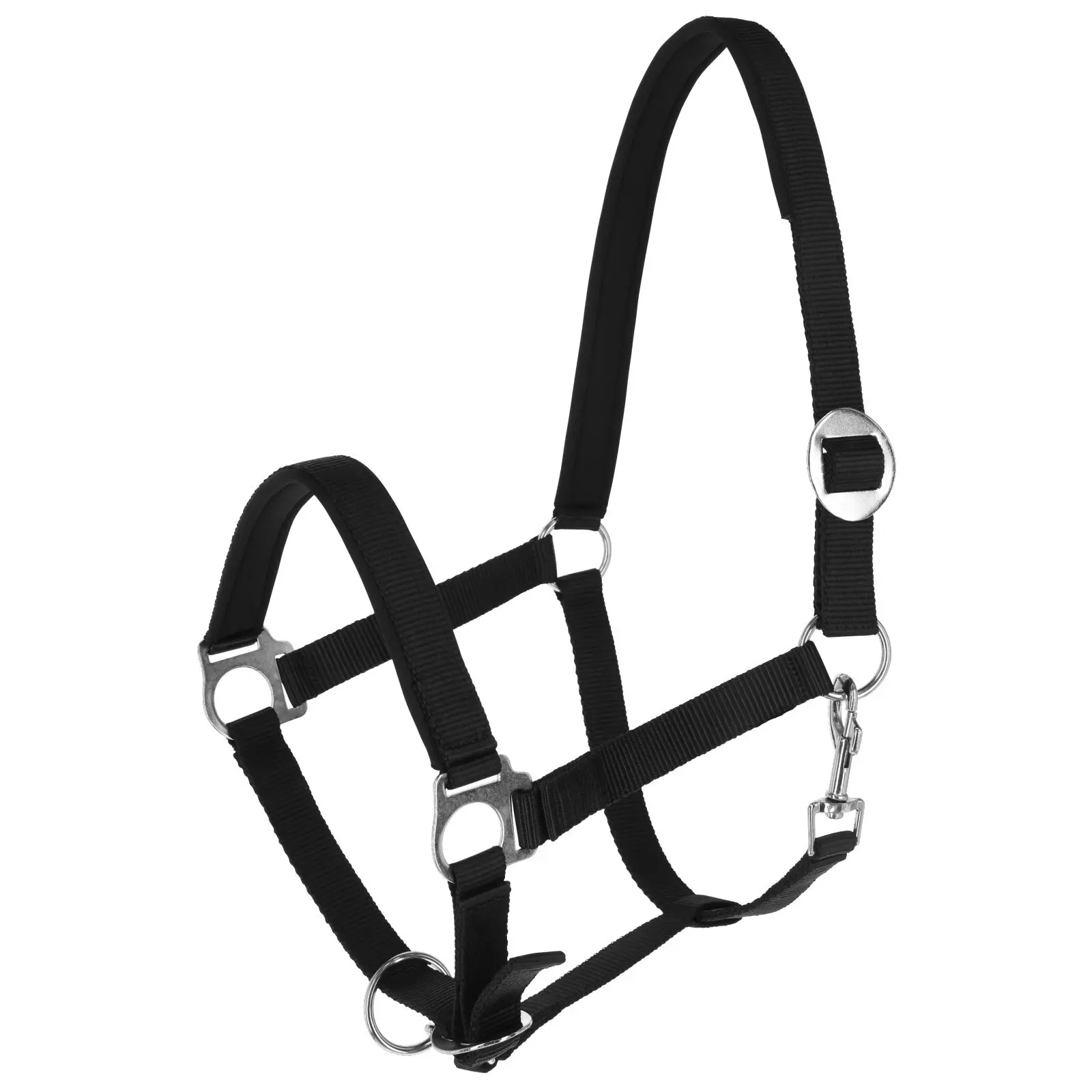 Halter for horse Covalliero Doria