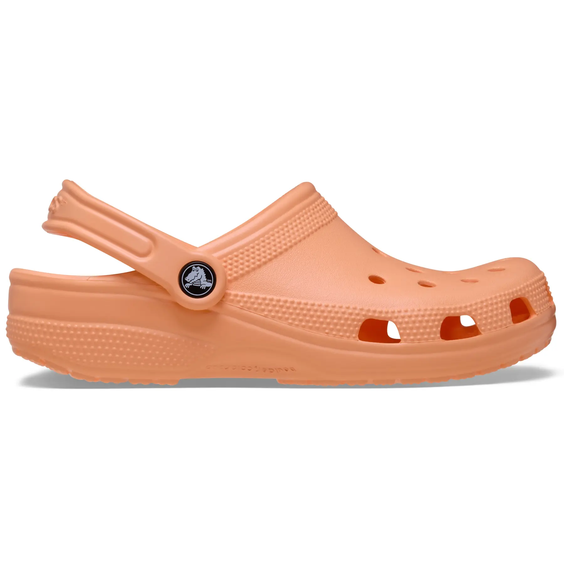 Sabot Crocs Classic
