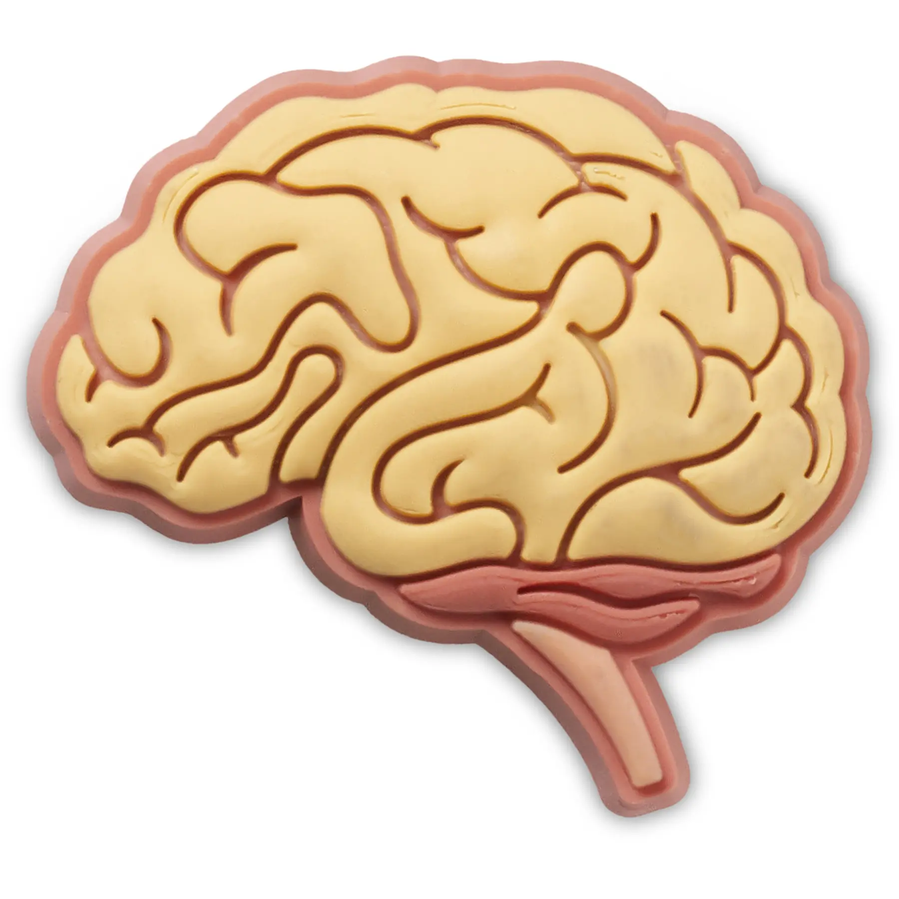 Jibbitz Crocs Anatomical Brain
