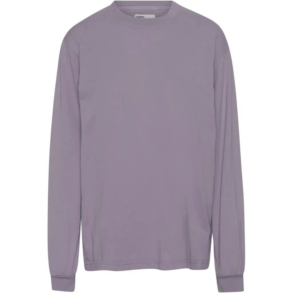Maglietta a maniche lunghe Colorful Standard Organic oversized purple haze