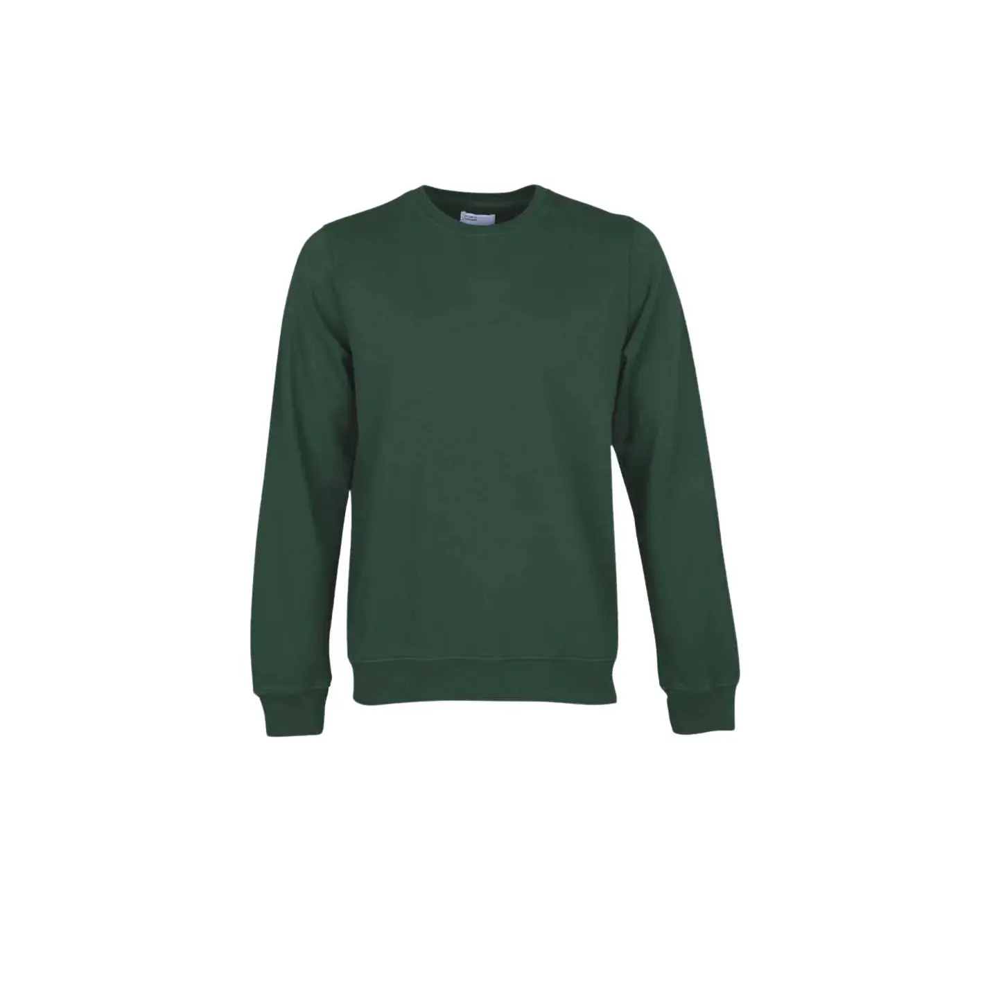 Felpa girocollo Colorful Standard Classic Organic emerald green