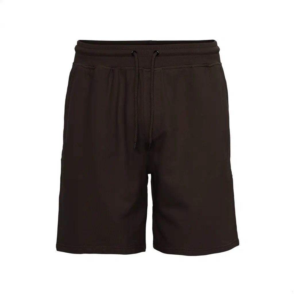 Pantaloncini Colorful Standard Classic Organic coffee brown