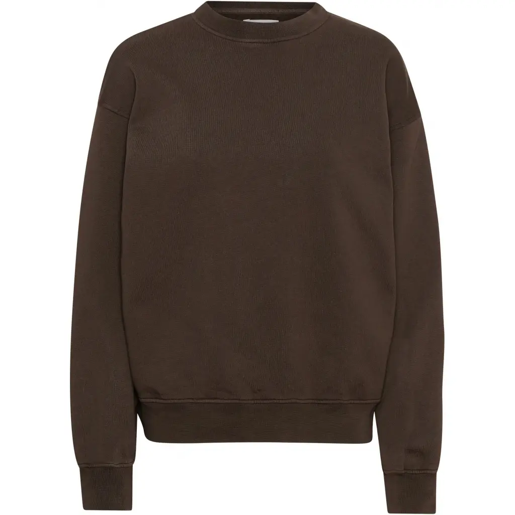 Felpa girocollo Colorful Standard Organic oversized coffee brown