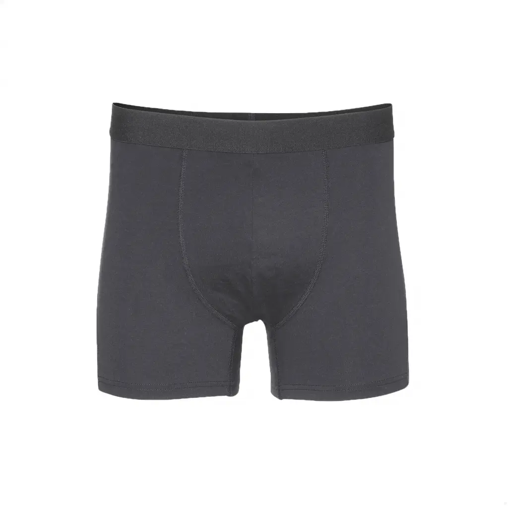 Boxer Colorful Standard Classic Organic deep black