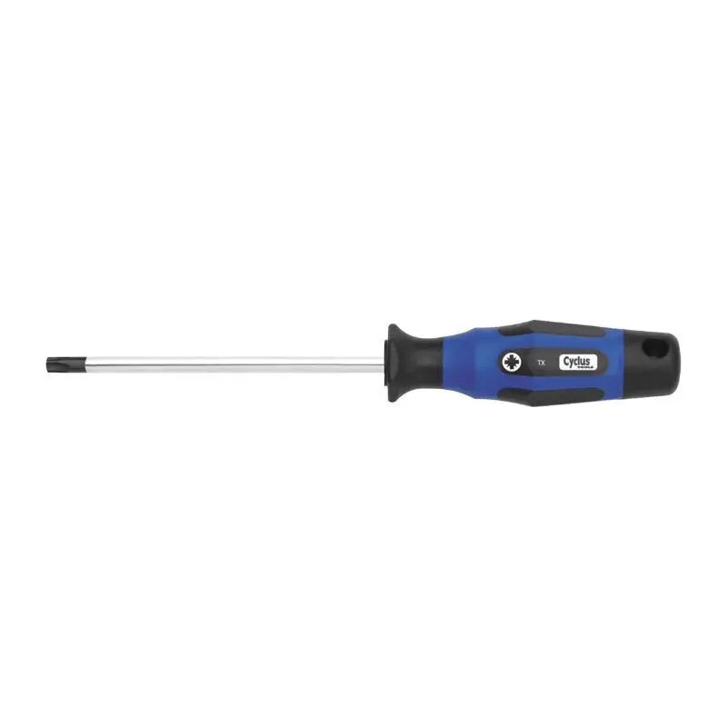 Doppelter flacher Schraubendreher tx 20 x 100 Cyclus pro Made in CEE
