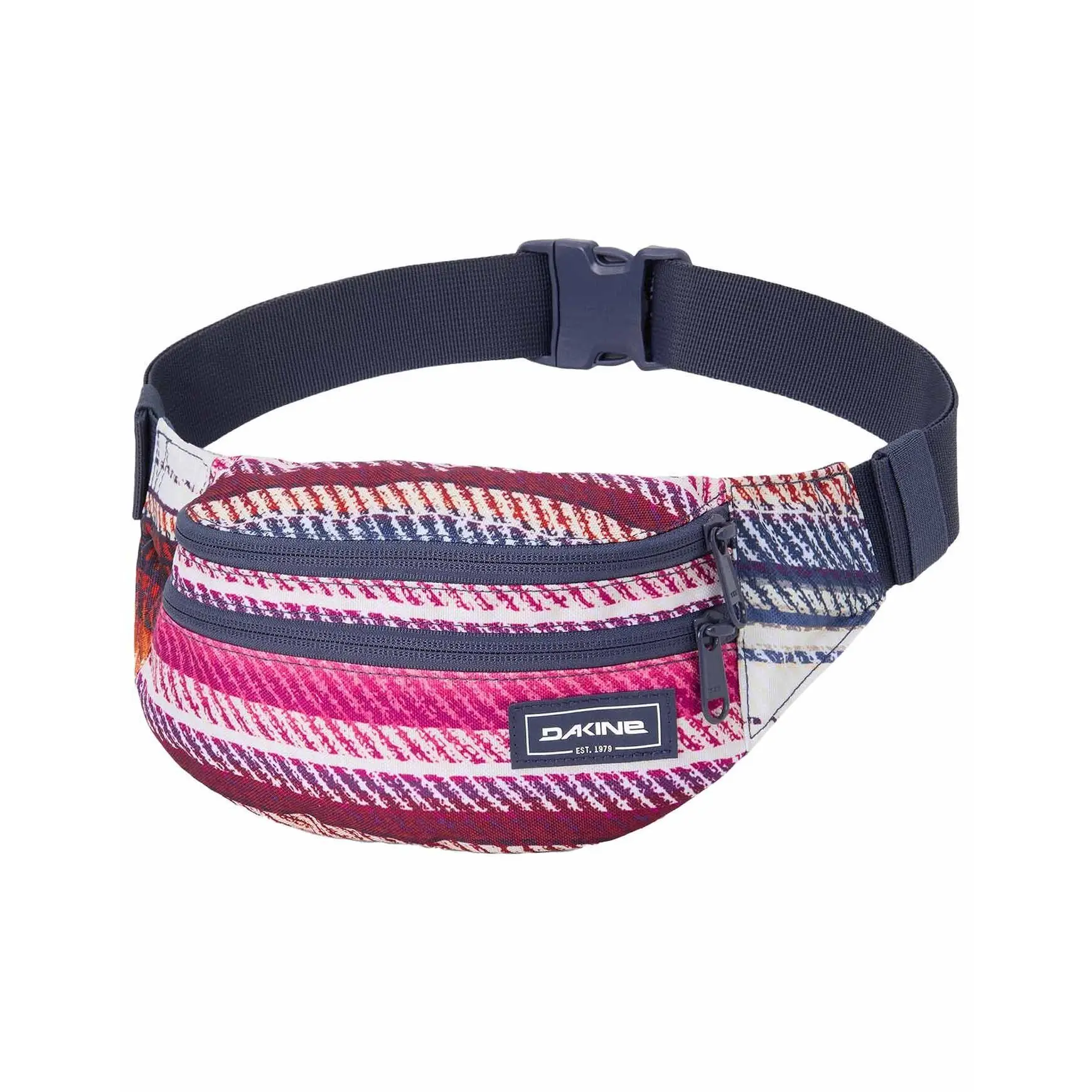 Fanny pack Dakine Classic T2-R