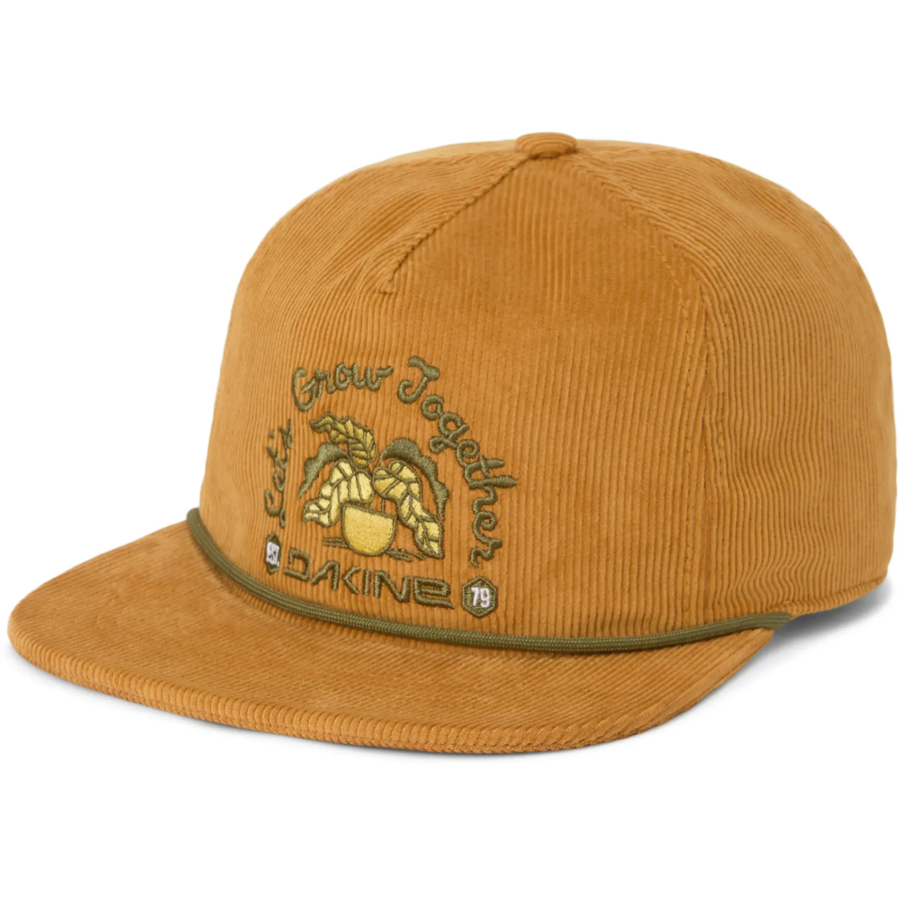 Snapback pet Dakine