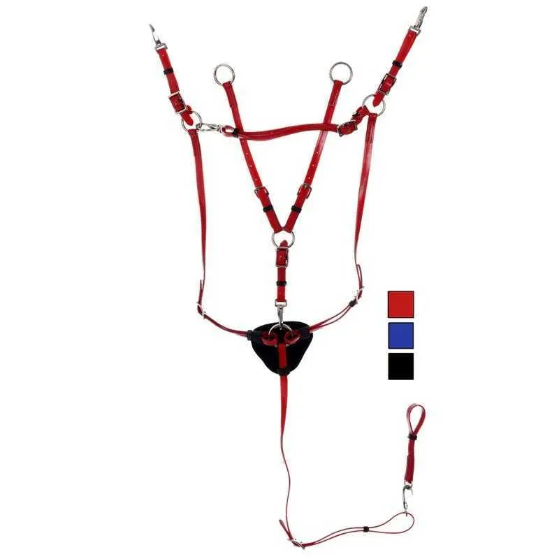 Hunting collar for horse and martingale Daslö PVC