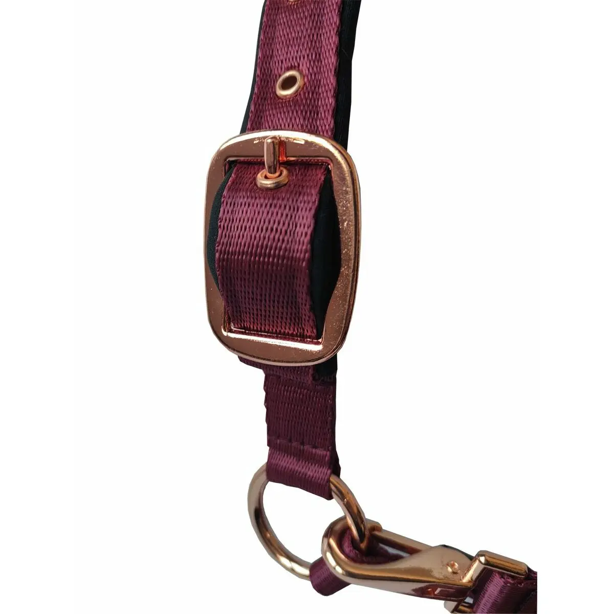 Set lanyard + halter Daslö Gold
