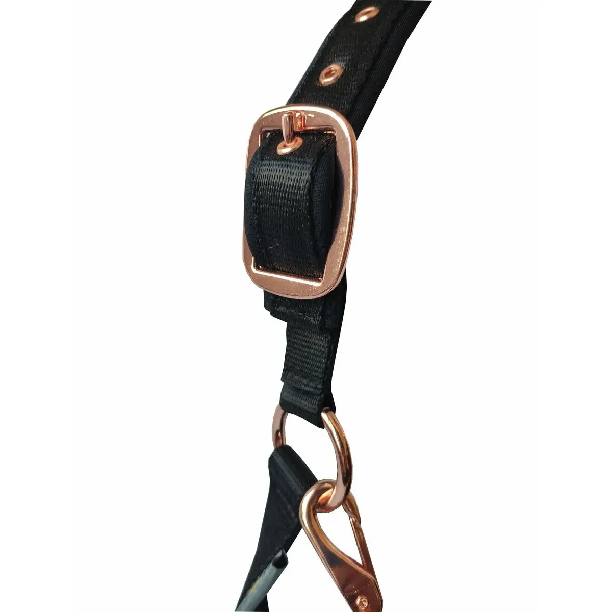 Set lanyard + halter Daslö Gold