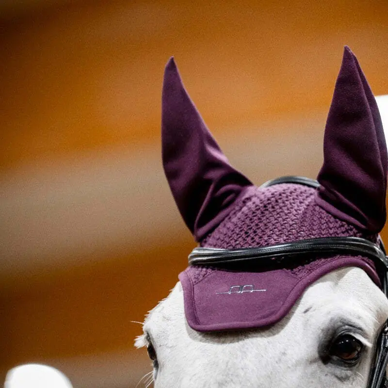 Fliegenhaube Alessandro Albanese