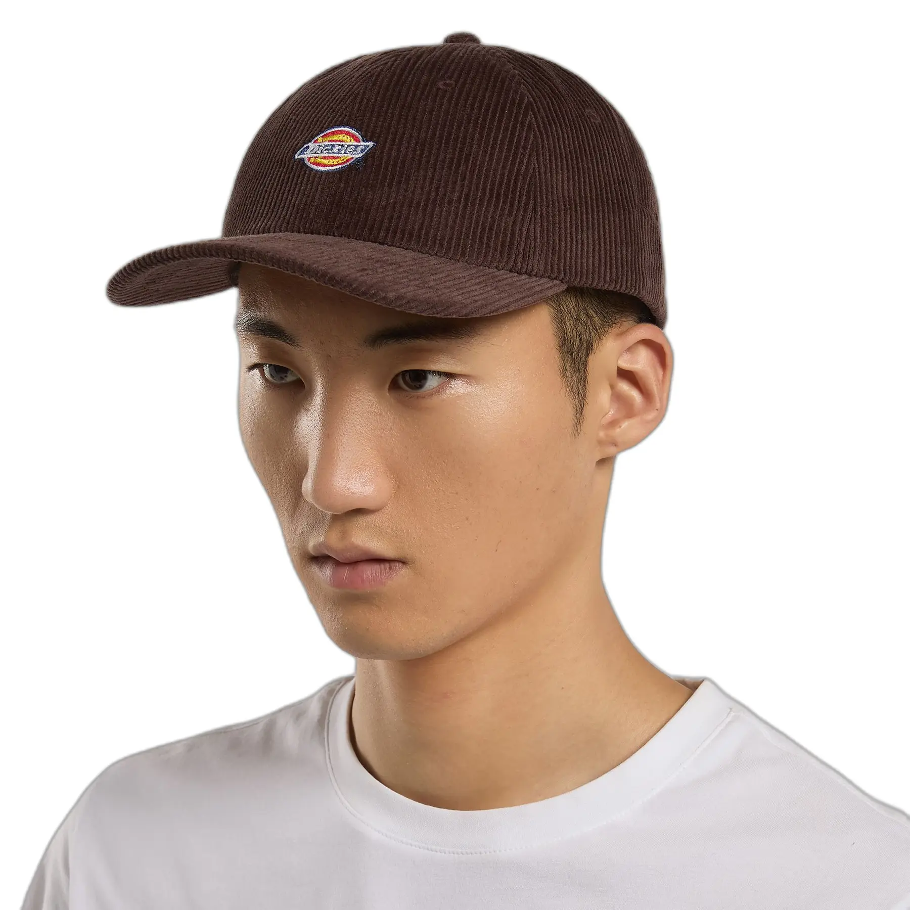 Trucker Cap Dickies Hardwick