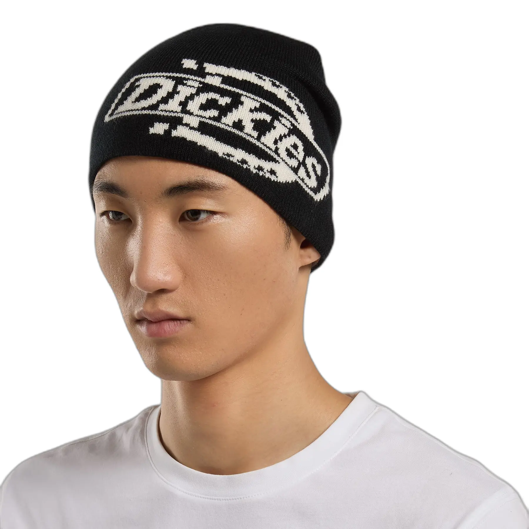 Berretto Dickies Summerdale Logo