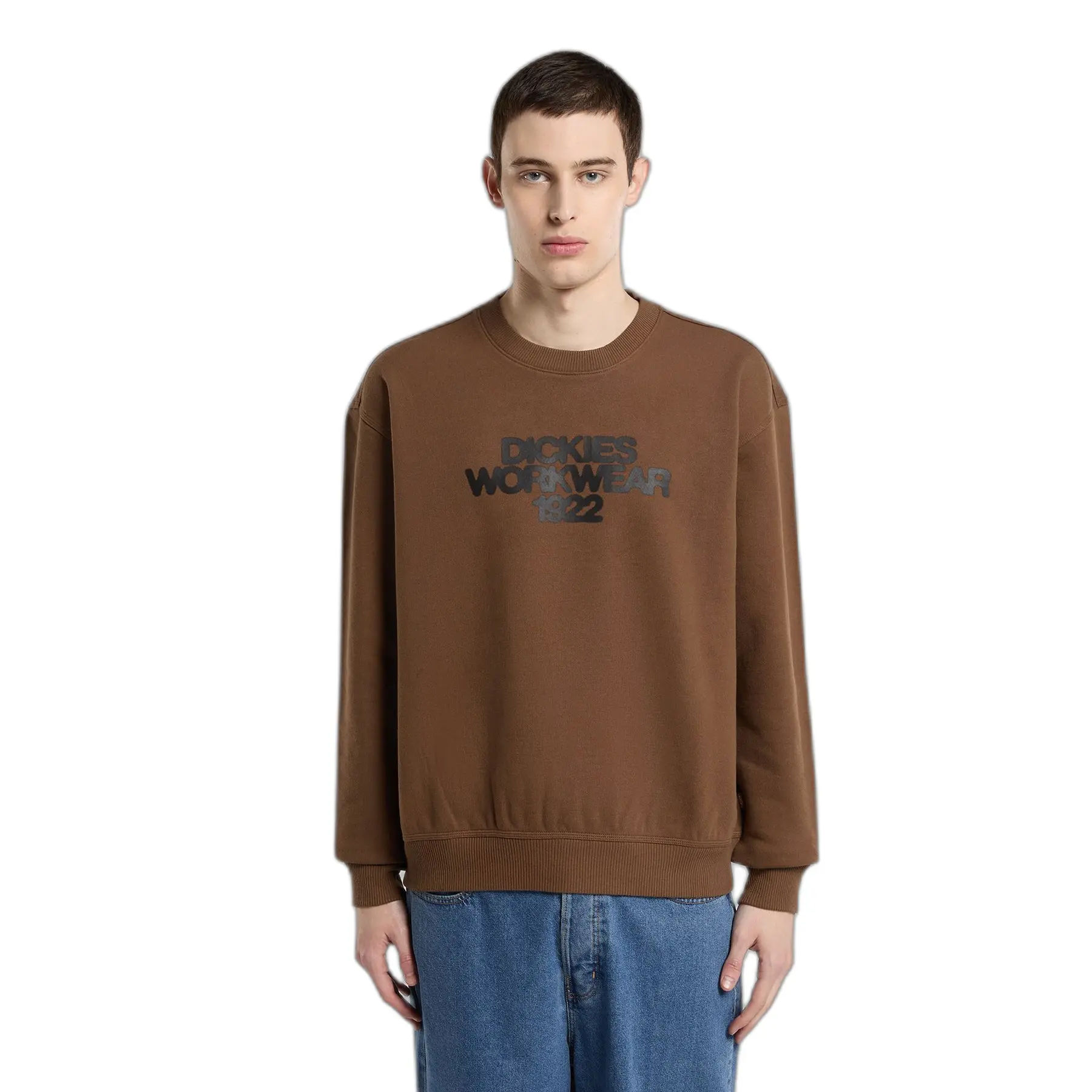 Felpa Dickies Torrey