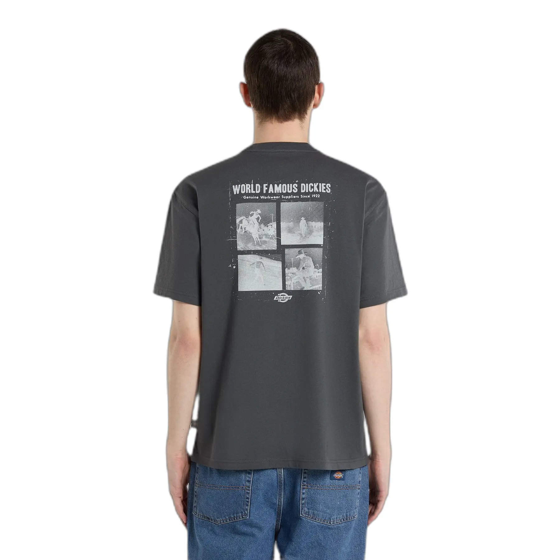 T-shirt Dickies Wolfhurst