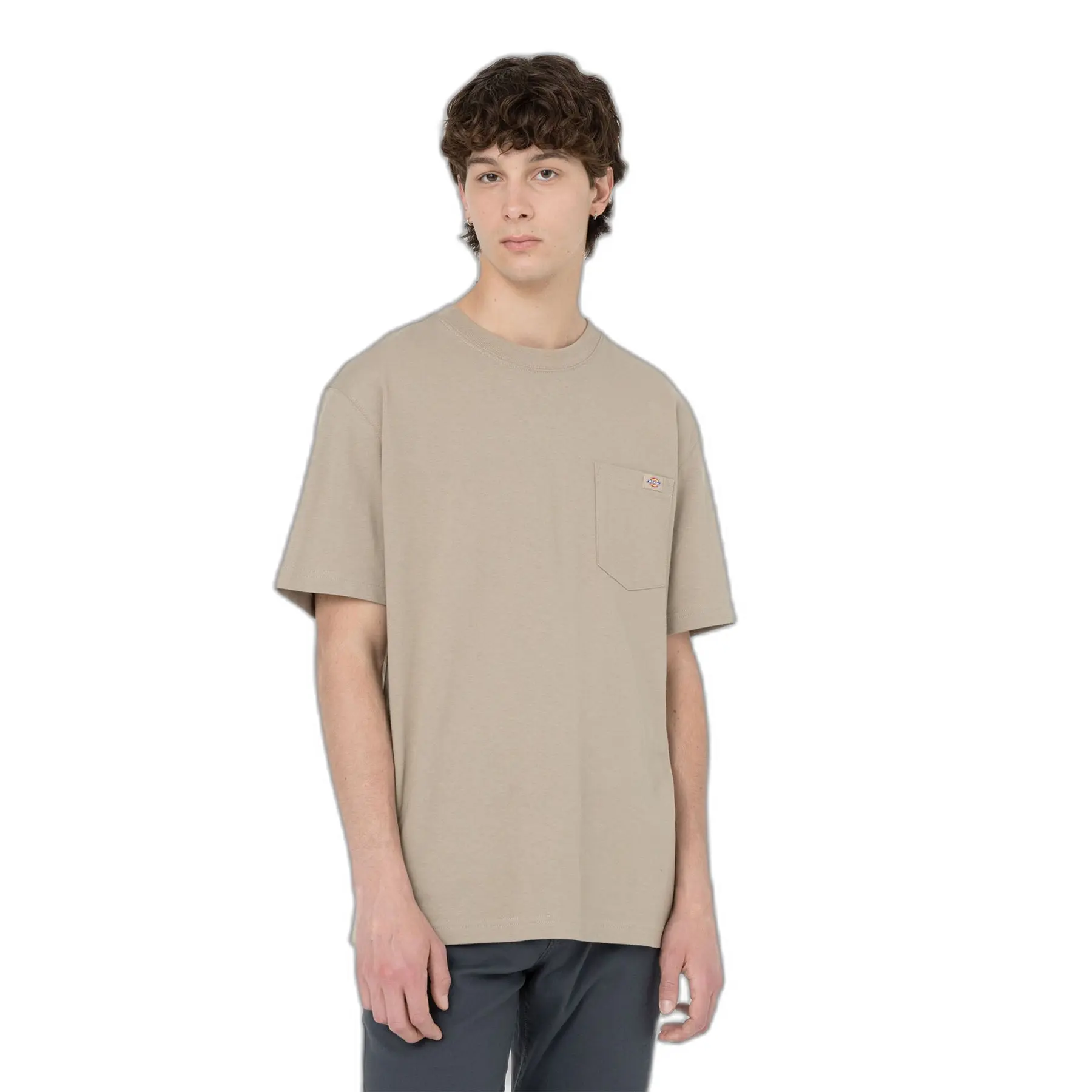 Maglietta Dickies Porterdale