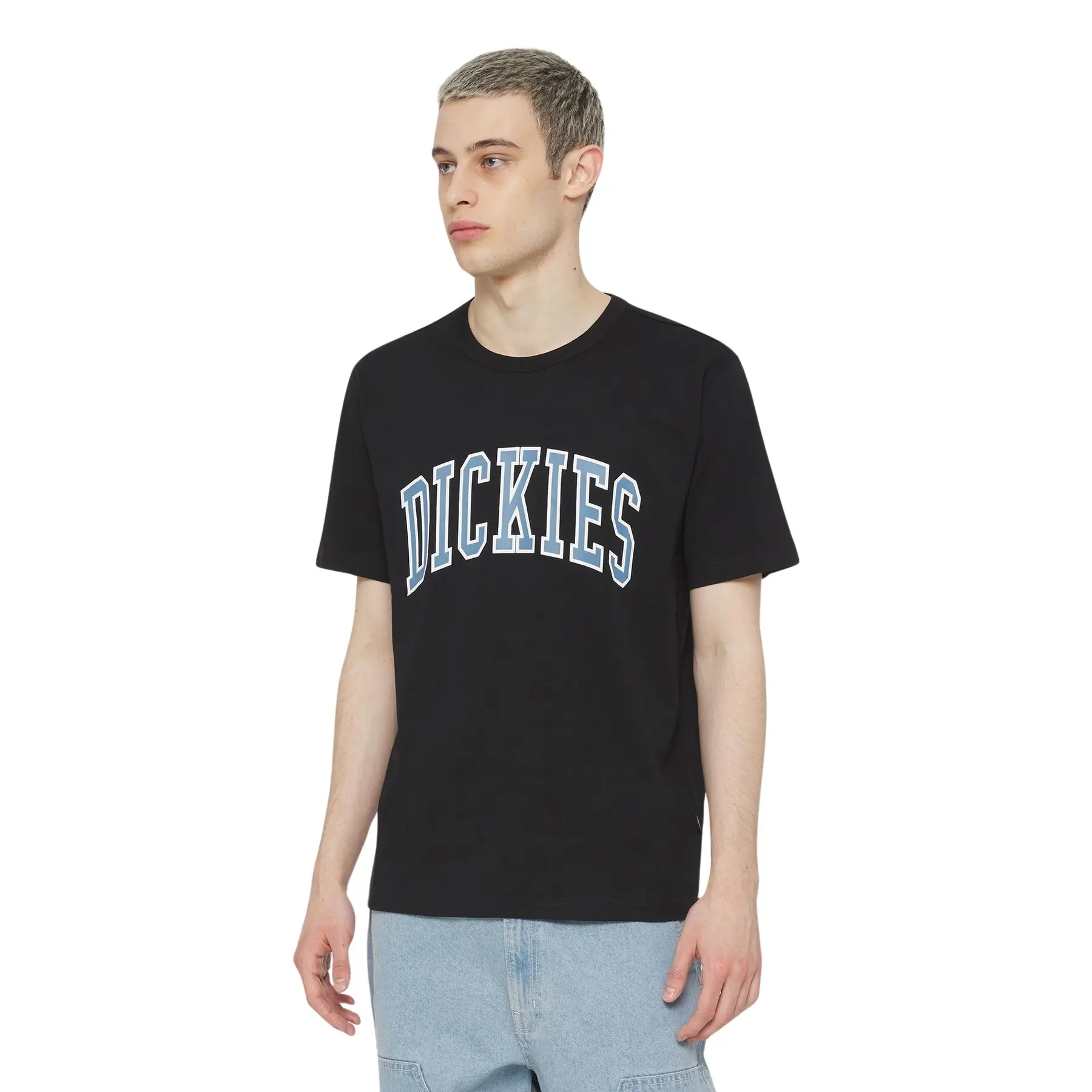 Felpa Dickies Aitkin