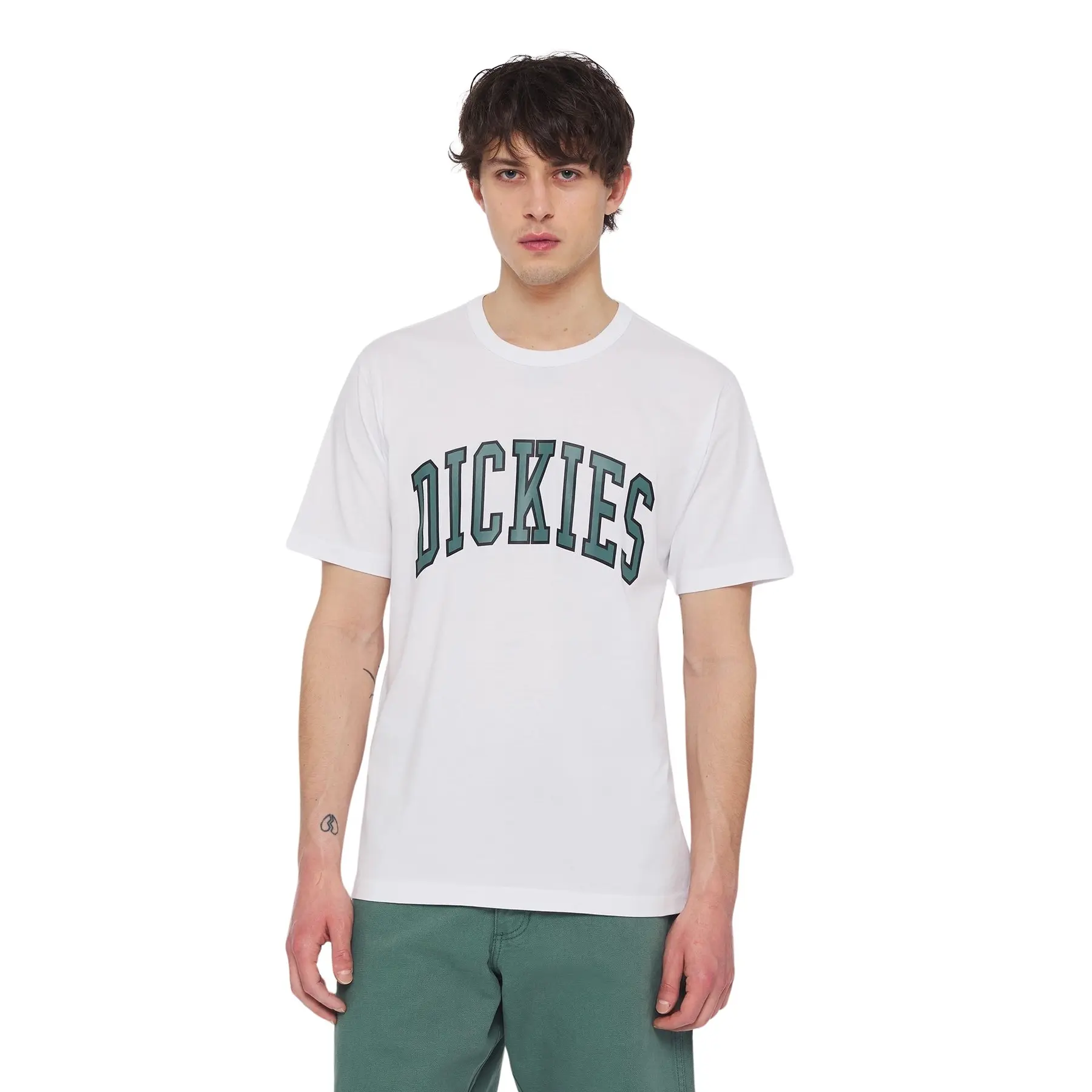 Felpa Dickies Aitkin
