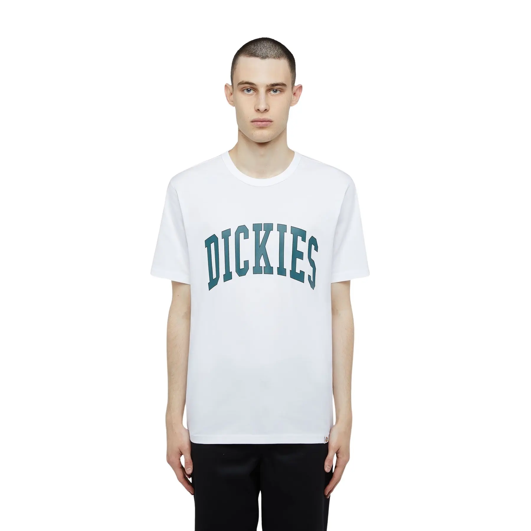 T-shirt Dickies Aitkin