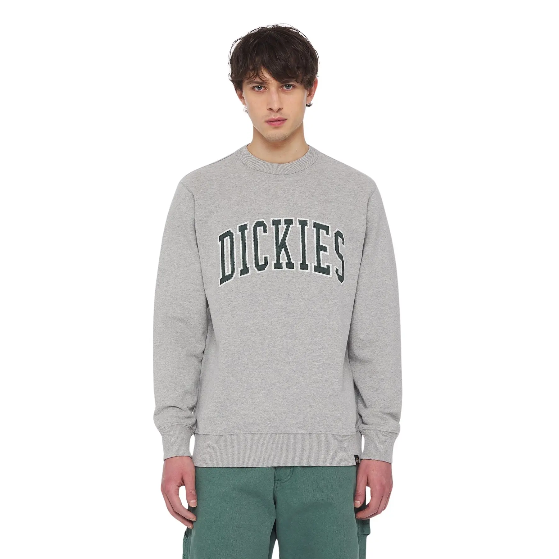 Felpa Dickies Aitkin