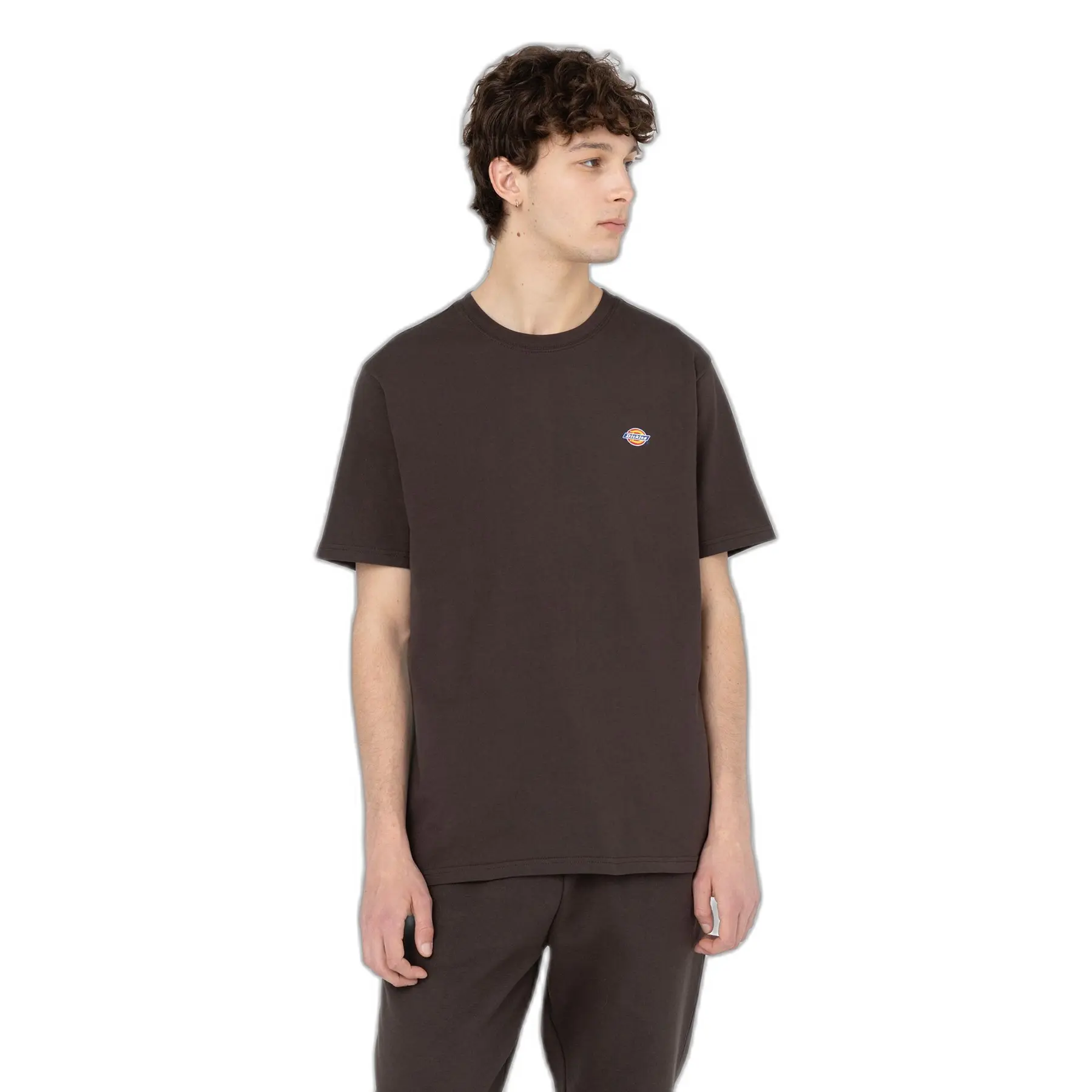 Maglietta Dickies Mapleton