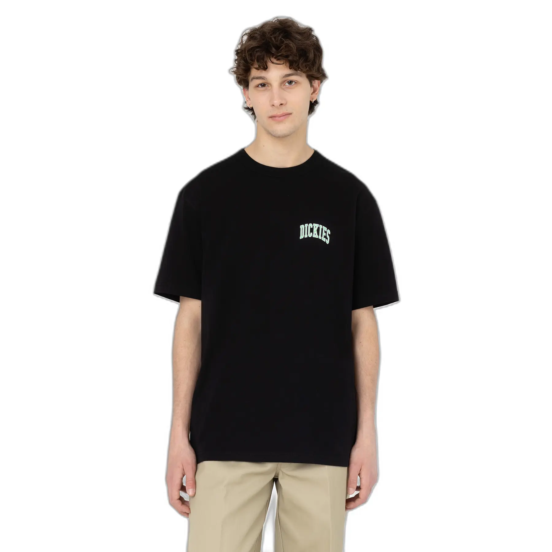 T-shirt Dickies Aitkin Chest