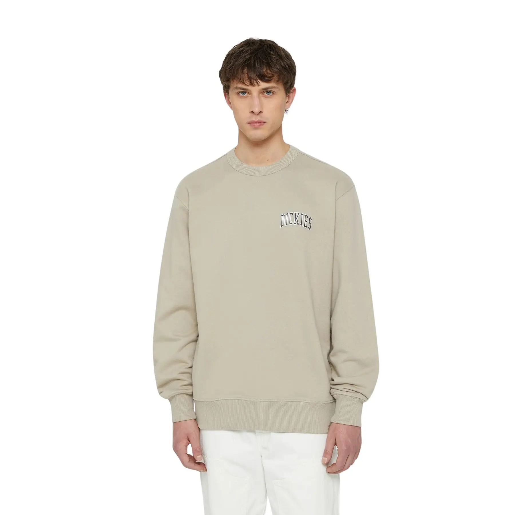 Felpa Dickies Aitkin