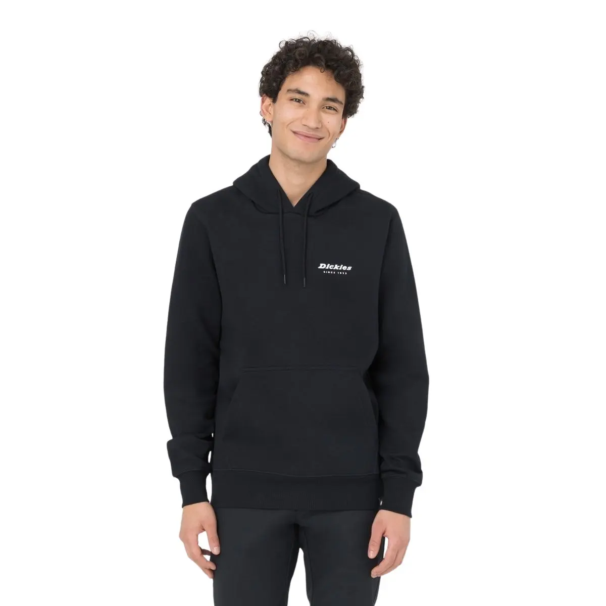 Felpa con cappuccio Dickies Leesburg Box