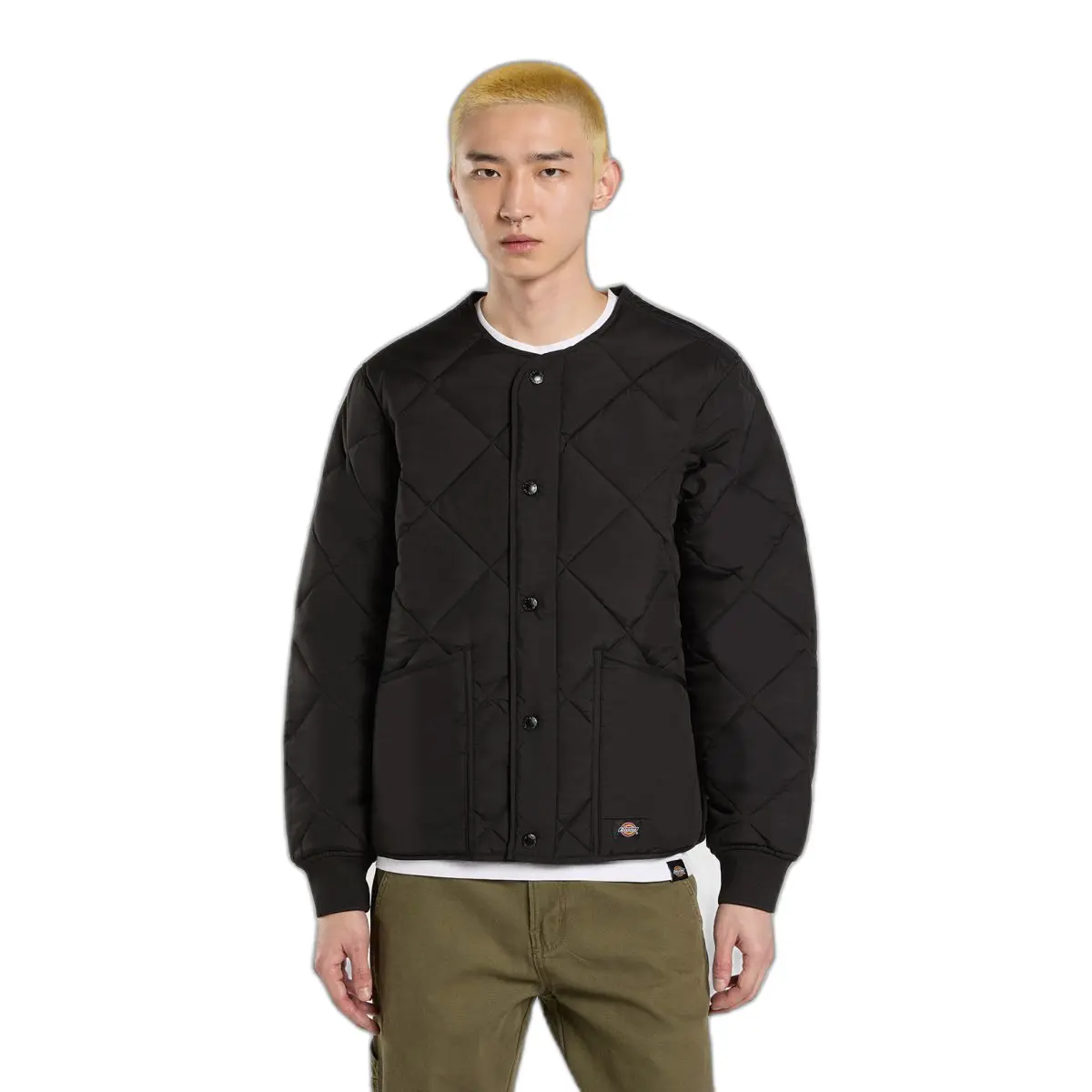 Piumino Dickies Samburg