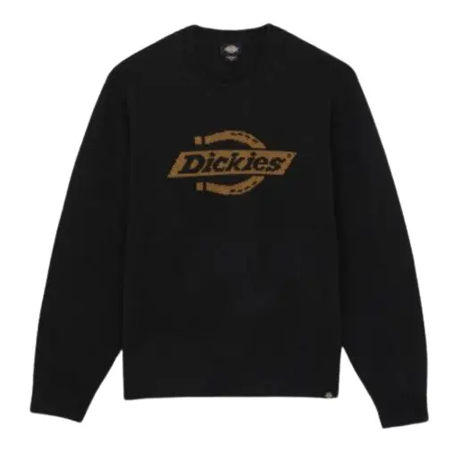 Felpa Dickies Ruston