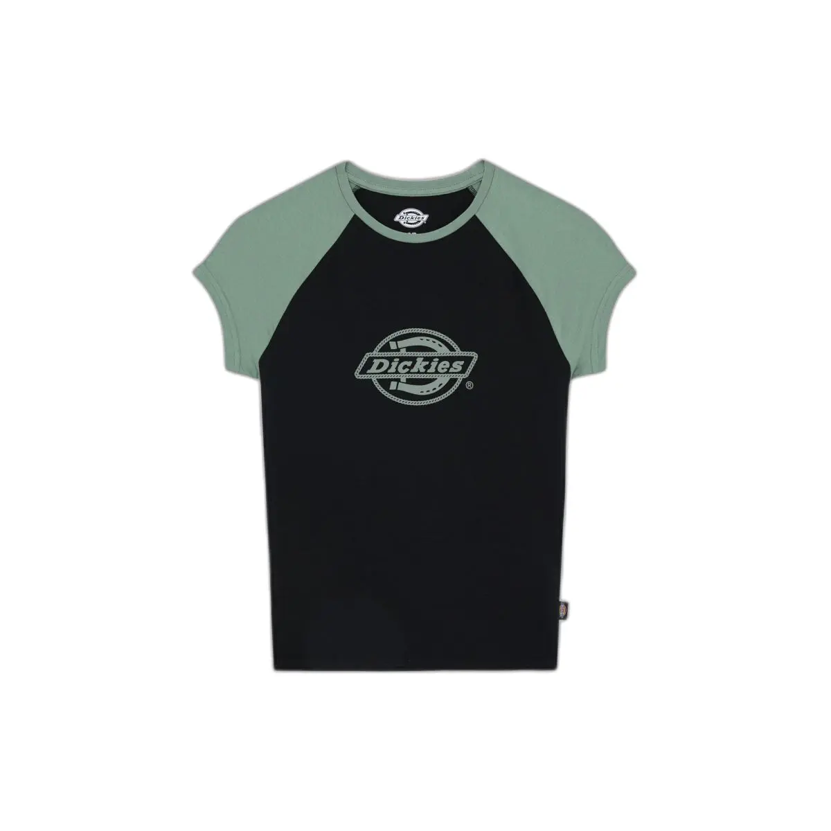 Damen Raglan T-Shirt Dickies Forth Shaw