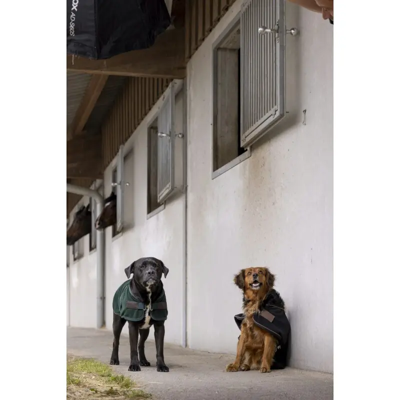 Cappottino per cani in nylon Diego & Louna Teddy