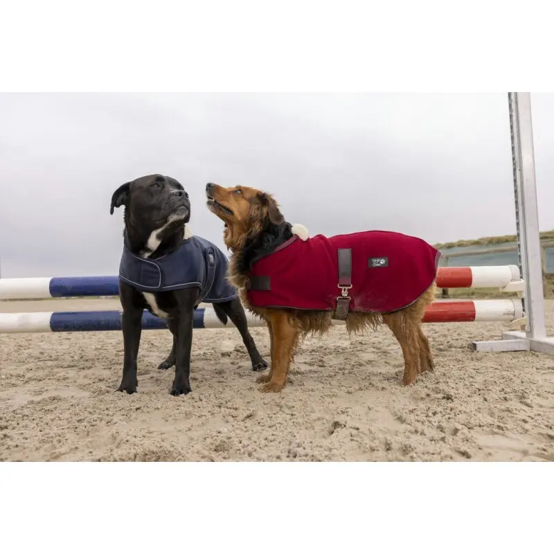 Nylon dog Blanket Diego & Louna Teddy