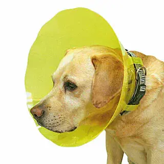Hundehalsband Difac T2