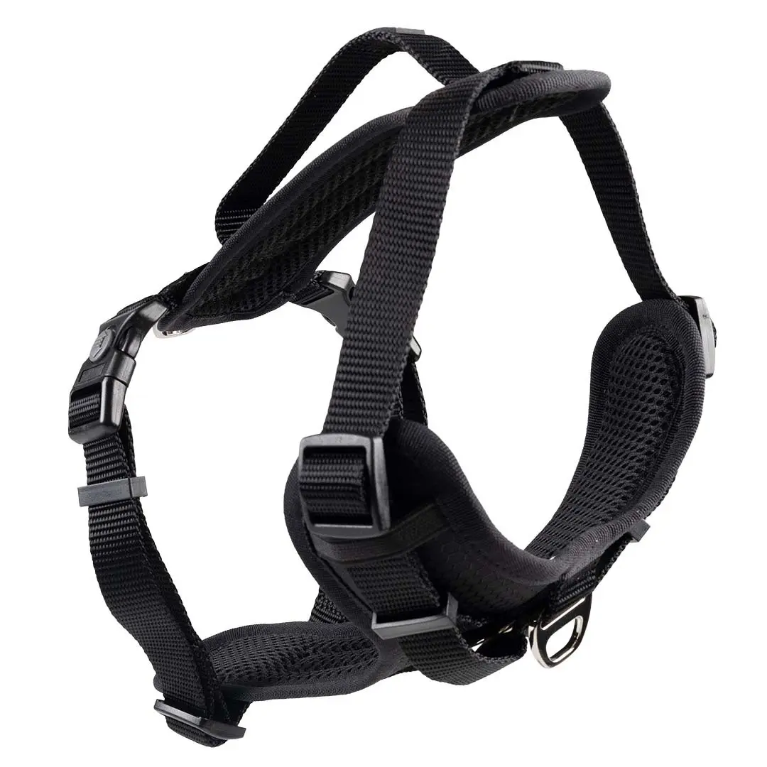 Duvoplus Noir Hundegeschirr Y Classic