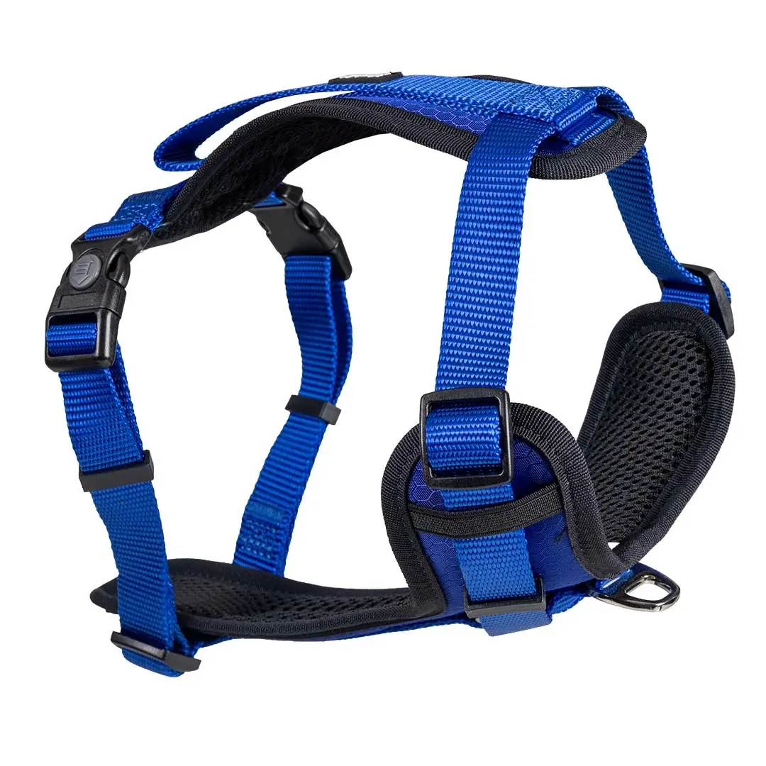 Hundegeschirr Duvoplus Y Fashion