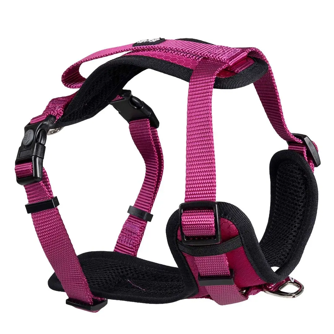 Hundegeschirr Duvoplus Y Fashion