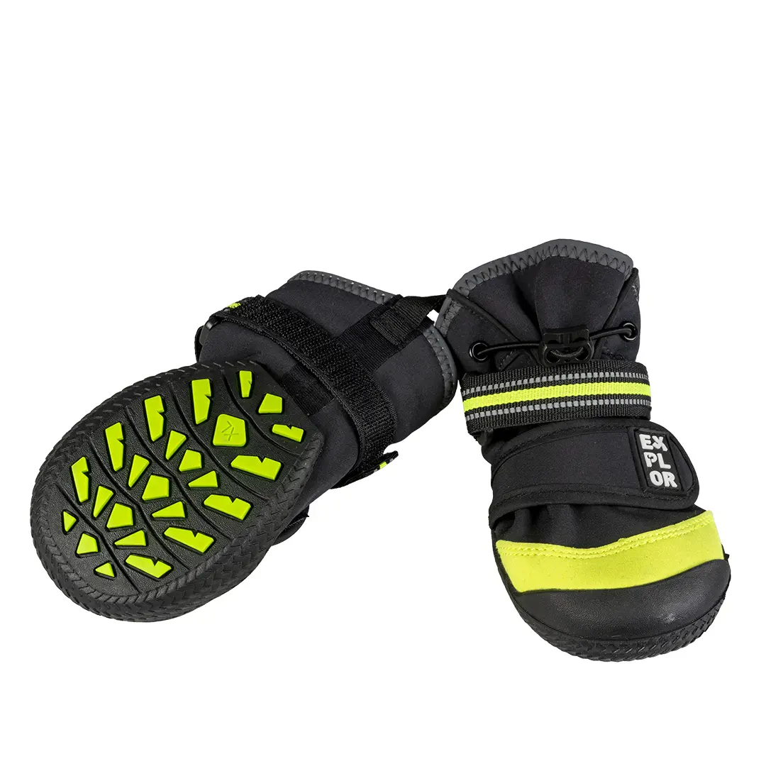 Scarpe per cani Duvoplus Gear