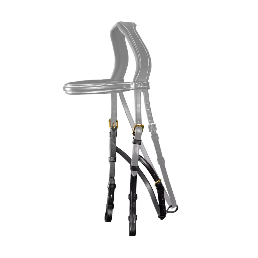 Bridle rings for hackamore Dy'on
