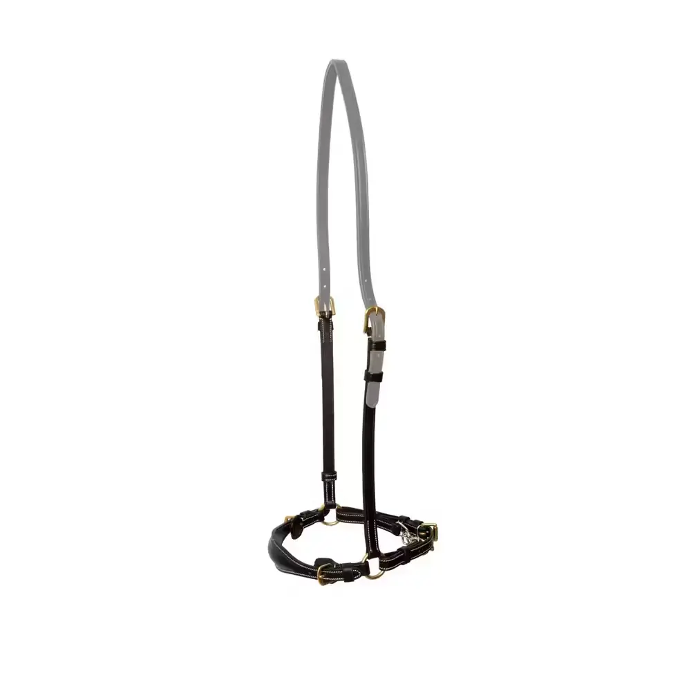 Low horse muzzle with chain Dy'on