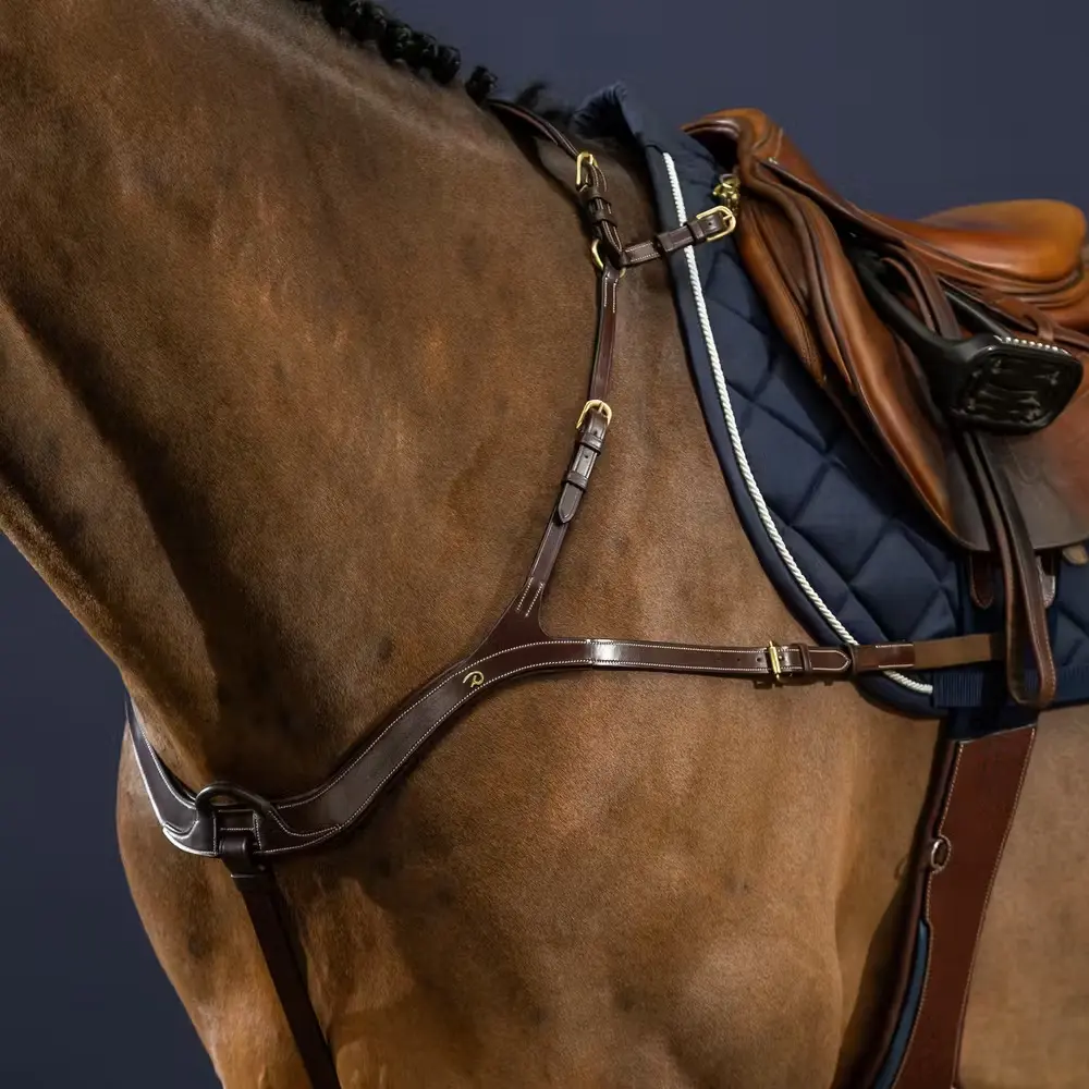 Anatomical hunting collar for horses Dy'on