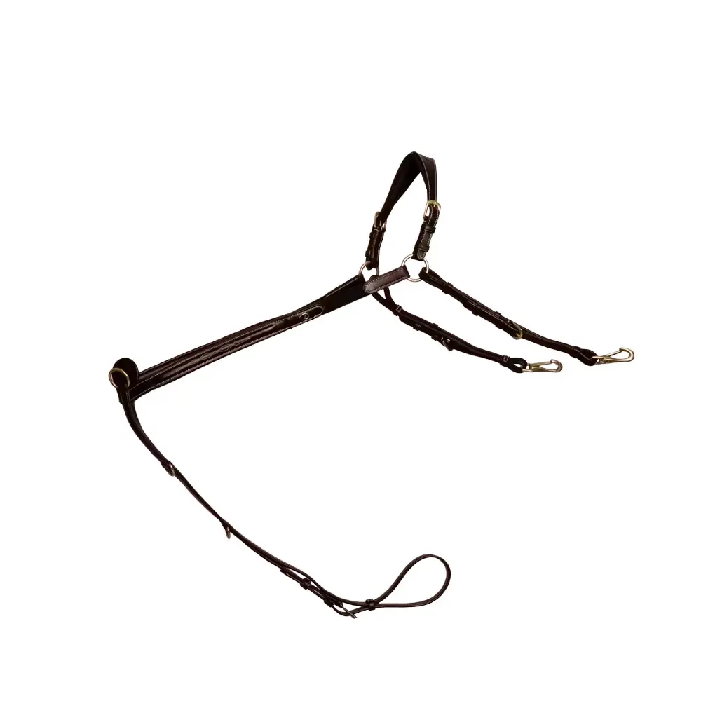 Hunting collar for bridge horse Dy'on