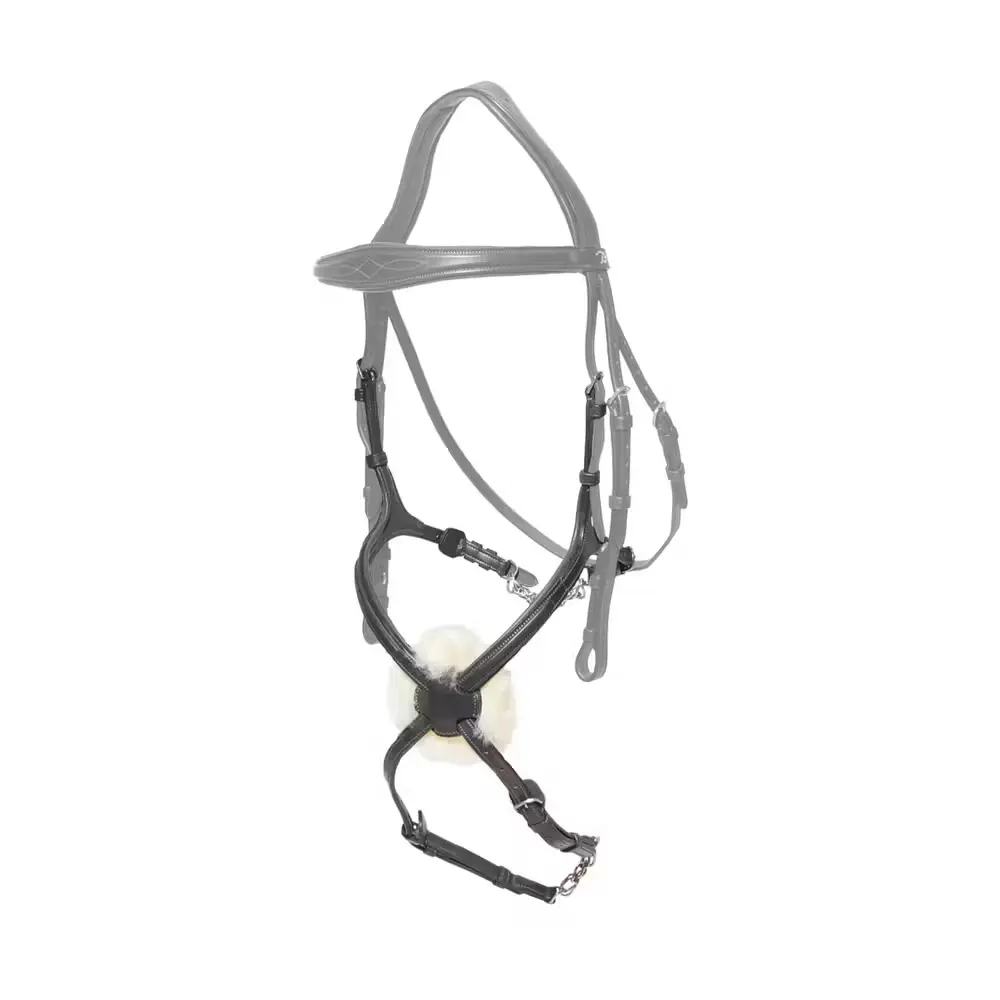 Crossed horse noseband Dy'on NE coll