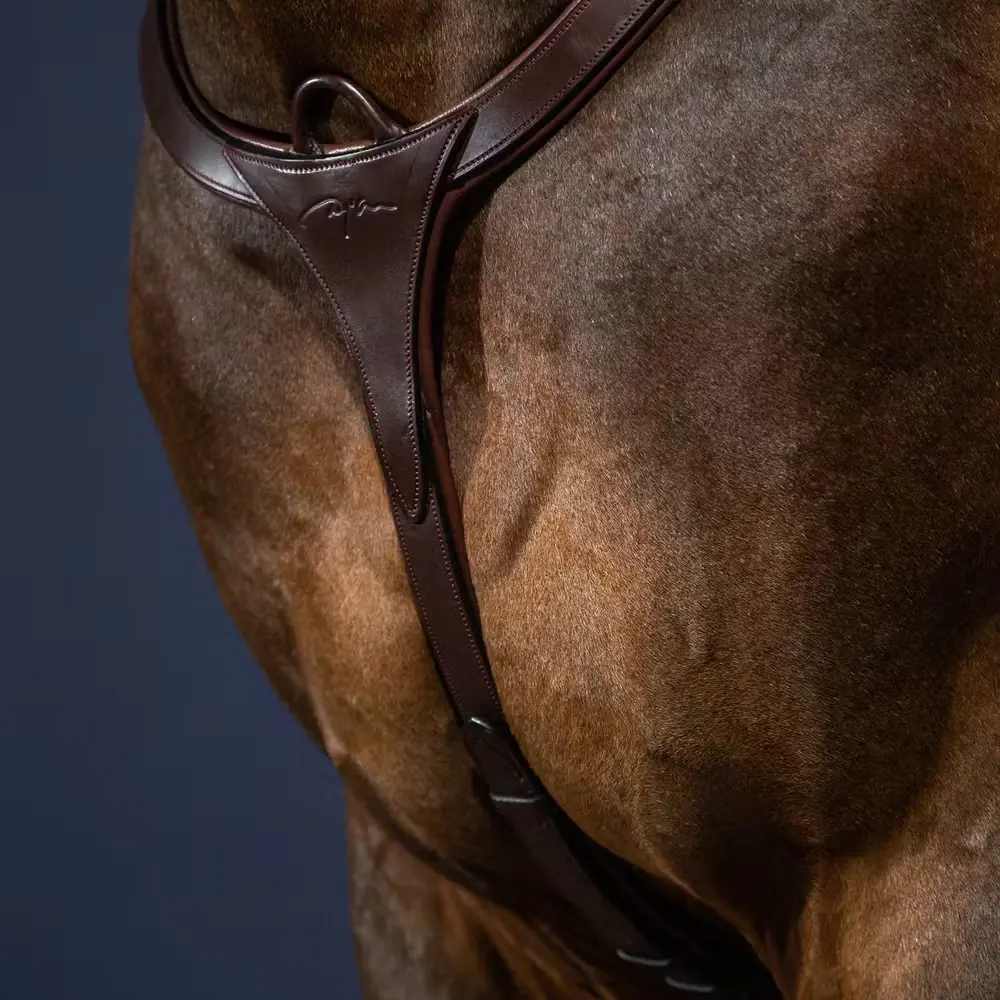 Dyon Braun Jagdhalsband Für Pferde Dy'on New English Collection