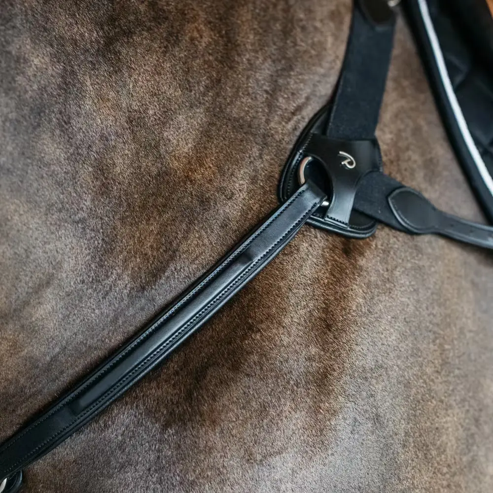 Hunting collar for horse Dy'on NE