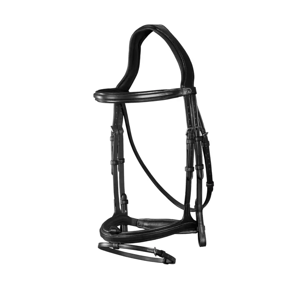 Briglia combinata da equitazione con nasello Dy'on Flash New English Collection