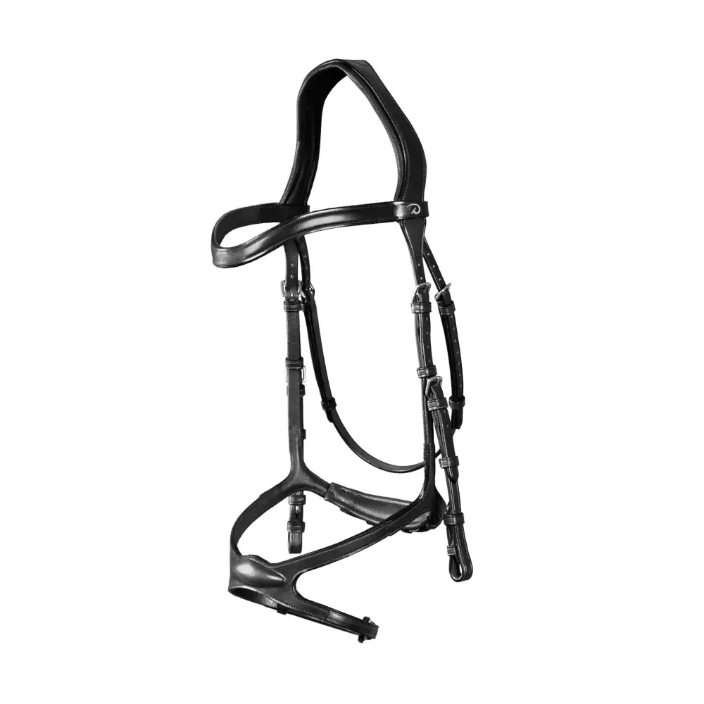 Riding bridle Dy'on X-Fit New English Collection